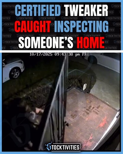 12K views · 123 reactions | Tweaktivities: An old bald white dude...