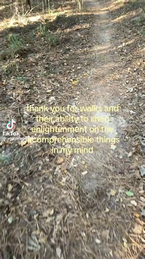 dorian gray apologist on Instagram