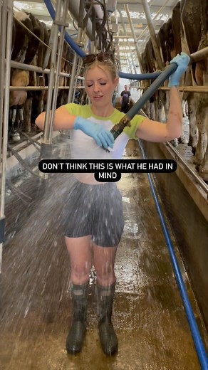 54K views · 135 reactions | I think I need to find a new farm job #farmlife #dairyfarming #dairyfarm #milking #milkcows #cowshed #wettshirt #farmgirl #countrygirl #farmersofinstagram #agri #agriculture #milkmaid #hose #gumboots #wellies #cowgirl #cowgirls #rodeogirl #girlsinboots #farmers | itsthatkiwigirl | Facebook