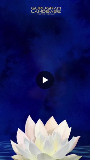 #basntpanchami #vasantpanchami #gurugramlandbase #wishyouaveryhapoybasantpanchami #goddesssaraswati #sarswatiapujaindianculture #traditionswishdomknowledgelearning #newbeginningsspringseason… | Anjli tripathi Gurugram Landbase