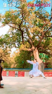 This video shows Kung Fu masters' training routine. | China Plus Culture