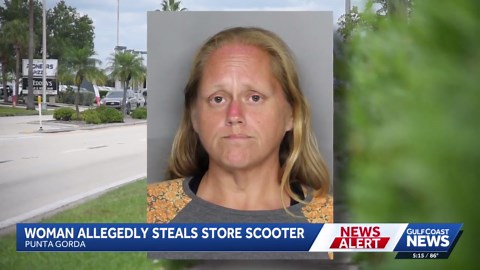 Punta Gorda woman accused of stealing motorized Publix shopping cart to drive herself to appointment