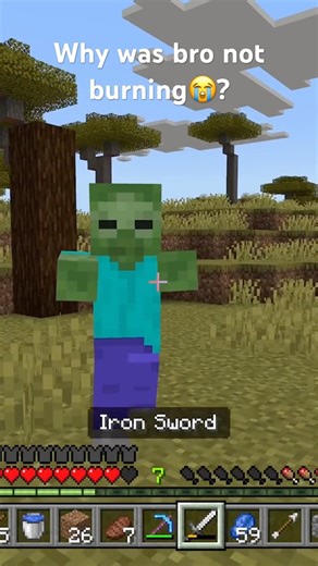 Cheats ahh zombie #minecraft #memes #funny #foryou #shorts #subscribe