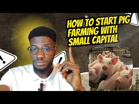 How to Start Pig Farming With Small Capital | Truth Revealed