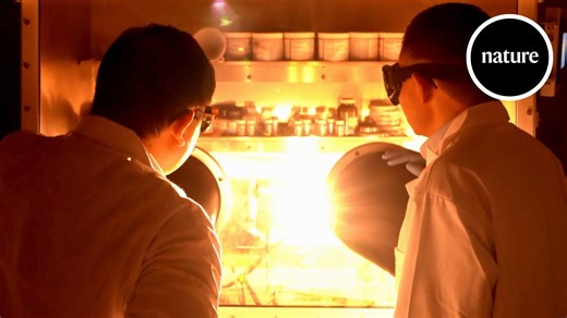 1.7K views · 91 reactions | Carbon fibre blocks could make it much easier to create a uniform high temperature plasma for manufacturing and research | Nature | Facebook