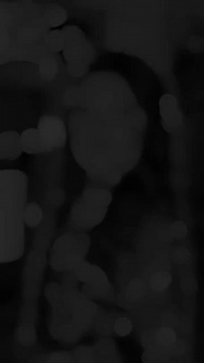 Stunning Bride in Traditional Red and Gold Attire