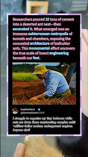 Uncovering A Massive Underground Ant Metropolis 🐜 #Nature #Science #Wildlife