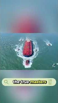 The Secret to Stopping a Giant Ship (And Why It Costs a Fortune)