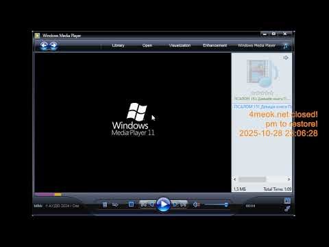 WMP WINDOWS MEDIA PLAYER 10 11 12 CUSTOM CLASSIC SKIN CANNOT DOES NOT RESIZE MINIMIZE FROM TASKBAR