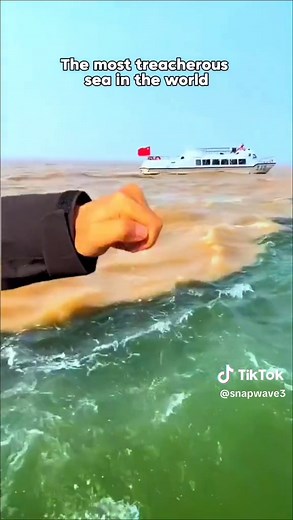 Dive into the mesmerizing spectacle of when the Pacific meets the Atlantic! 🌊✨ Discover the incredible phenomenon of these two colossal oceans converging, yet mysteriously maintaining their distinct identities. Unravel the science behind why these waters, with their unique temperatures and salinities, resist complete mixing. It's a captivating dance of nature you won't want to miss! 🌏#northsea #ocean #explore #adventure #fyp