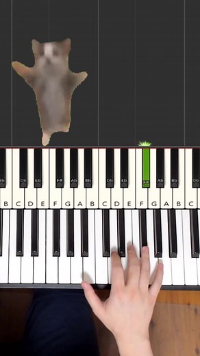 Happy Happy Happy Jumping Cat Song EASY Piano Tutorial #piano #pianotutorial #happyhappyhappy #fyp