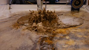 The Satisfying Rug Cleaning Video You Didn't Know You Needed ! | Mountain Rug Cleaning