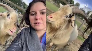 The iPhone Slump Is Rumbling Through Tech