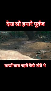 112K views · 702 reactions | Human Evolution And Origin Early Human's History | #humanevolution #earlyhuman #ancianthuman #aadimanav #evolution | Gyan Kumar | Facebook