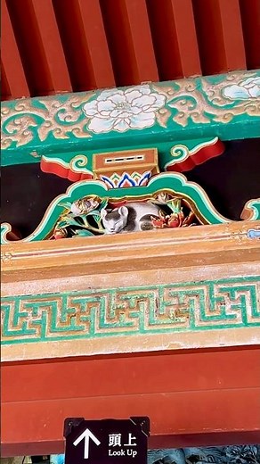 東照宮、眠り猫、日光 Toshogu Temple, Sleeping Cat, Nikko #nikko #nikkoo #japan #buddhisttemple #日光 #東照宮 #眠り猫