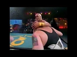 Hulk Hogan vs The Shark WCW WorldWide 1996