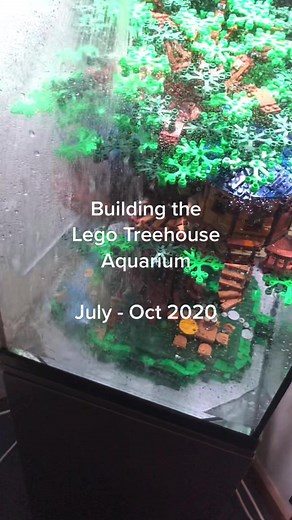 Building a Lego Treehouse Aquarium