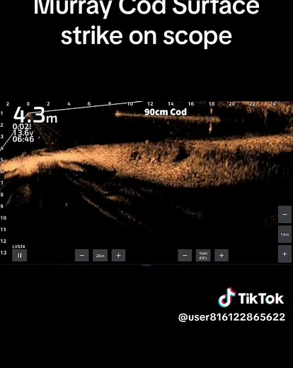 Check out this great bit of footage. Murray cod taking a surface lure👍#murraycod #mustadhooks #giantmurraycod #venomrods #venomrods #freshwaterfishing #riverlife #codfishingaustralia #liveaction #garmin #surfacefishing #topwaterfishing #gfabengineering