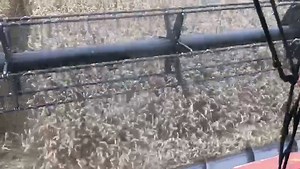 There's something ever so slightly hypnotic about watching crop being pulled into the combine. It's not magic though, this seamless feed of the crop is all thanks to the world renowned #masseyferguson PowerFlow header! #mfactiva #harvest21 | Massey Ferguson