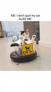 392K views · 3.2K reactions | The future is NOW!!!  烙 | The Pet Collective | Facebook