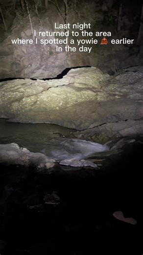 Are Yowies Real? Exploring Australia's Bigfoot Myth