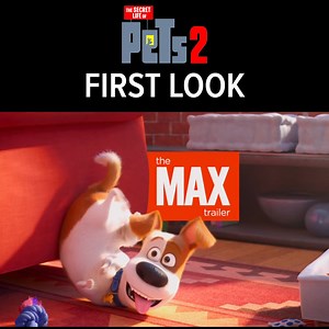 The first trailer for The Secret Life of Pets 2 is here! | GameSpot