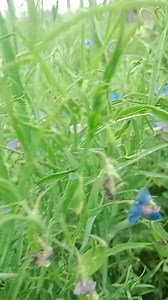 #vlog #environmental | Environmental Blog