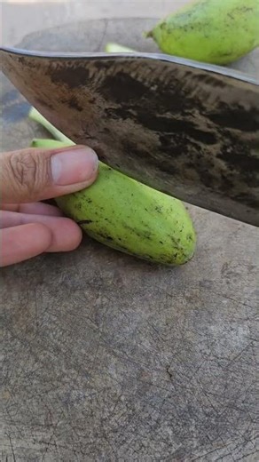 Baby Mango Fruit | Mango benefits