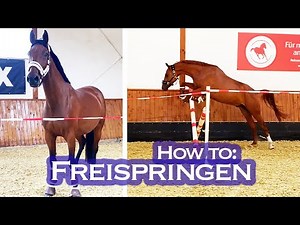 FREISPRINGEN - wie und warum? 🤷🏼‍♀️