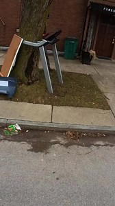 118K views · 1.2K reactions | Collecting scrap metal with my wife. | Love in the Dumpster | Facebook