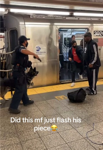 Then everyone acts like it didn’t happen😂 #nyc #subway #newyorker #crazystory #dramaticmoments