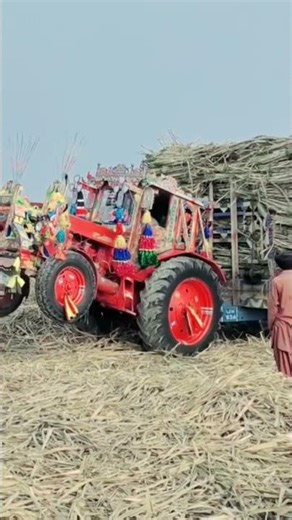 Belarus tractor performance review with full loaded trolley in Pakistan.. ..