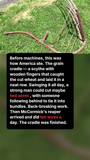 How America Harvested Wheat Before Machines