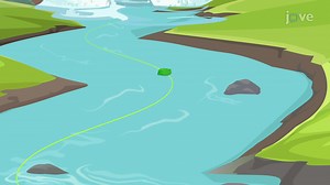 Video: Streamlines, Streaklines, and Pathlines