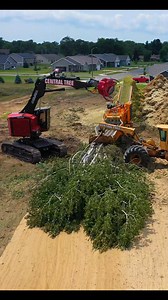 Slaying trees is what we do 🌲 #centraltree #treeclearing #siteclearing #construction #treeremoval #urbantreeremoval #timbco #fellerbuncher #operator #excavator #forestry #equipment | Central Tree, LLC