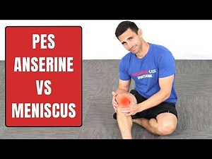 Pes Anserine Bursitis Vs. Medial Meniscus Injury