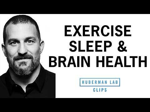 How Exercise Helps Brain Health, Sleep & Performance | Dr. Andrew Huberman