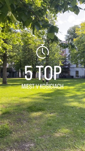 Zana on Instagram: "Top 5 miest v našom meste! Chceme vedieť tie Vaše 🫶🏻 a možno vznikne nový rebríček podľa Vás! Napr. Košická ZOO alebo snáď areál Anička? Kam chodíte s deťmi najradšej? #kosickemamkycrew #kamsdetmikosice #sdetmi #kosice"