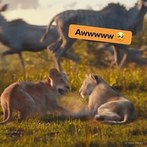 Smol cubs, big cute! 女 Catch these cute cubs in Disney’s #MufasaMY: The Lion King, in Dadi now. ️ Get tickets on the Dadi Cinema app with ZERO booking fee!  https://bit.ly/GetDadiTickets | Dadi Cinema | Facebook