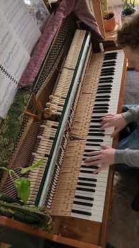 Bird Gerhl - Antony & The Johnsons