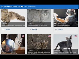 TheCatAPI Favouriting Images using React and MUI (material-ui)