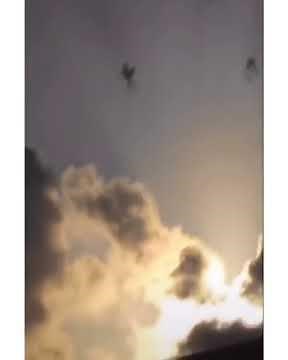 Horses in the sky. Flying horses video