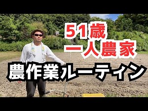 [51-year-old solo farmer] Early autumn farm work routine