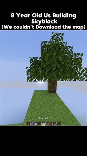 When you didn't know how to download maps 💀 #Minecraft