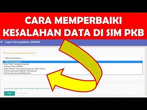 HOW TO FIX DATA ERRORS IN SIM PKB 2021