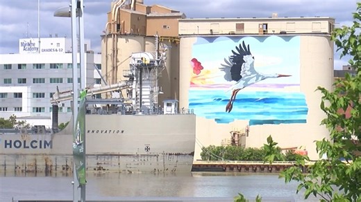 Toledo mural takes flight with vibrant hues on the Maumee silos