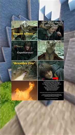 Harry Potter Memes | Harry Potter VS The Dragon