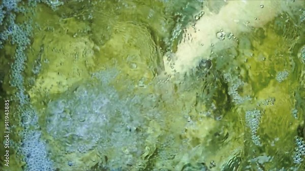 Bubble water, often known as sparkling water, is a type of carbonated beverage that contains dissolved carbon dioxide gas, which creates its characteristic effervescence