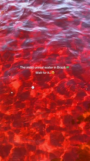 Save this for your next trip 🇧🇷: Lençóis Maranhenses is one of the most unique places in Brazil, maybe even in the world. Endless white dunes, crystal-clear lagoons… and on our way to lunch we took a small boat on a river where the water looked completely red (yes, really 🥹). The color comes from natural minerals and sediments in the water. Go in May: the lagoons are full, the landscapes are unreal, and it’s not too crowded yet. #brazil #lencoismaranhenses #beautifuldestinations #brasil #trav