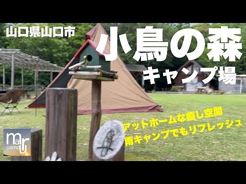 山口県山口市徳地【小鳥の森キャンプ場】で1人になりたくて雨キャンプ☔️実はここのキャンプ場初めて！